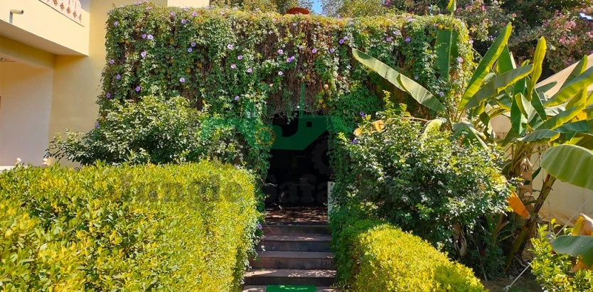 Jungle Retreat Ranthambore