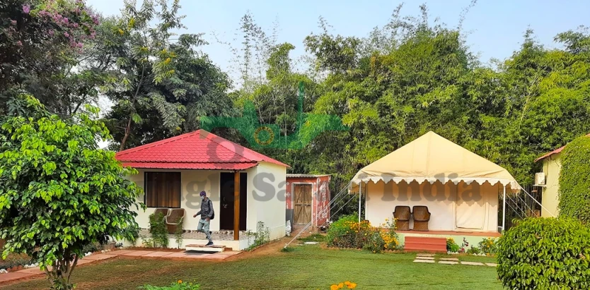 Jungle Retreat Ranthambore